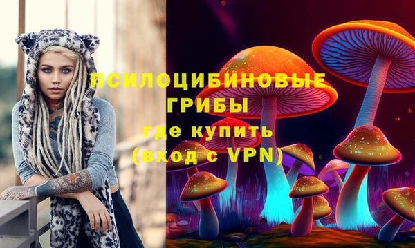 первитин Алексеевка