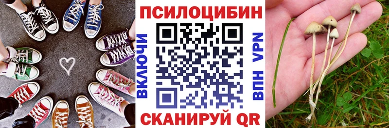 Галлюциногенные грибы Psilocybine cubensis  закладка  Можга 
